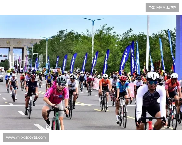 全方位数据服务覆盖赛前赛中赛后各阶段